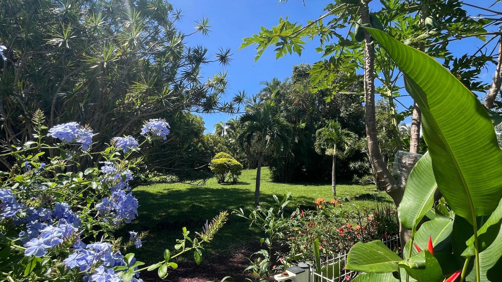 Le Jardin Kerveguen, Calme, Confort Et Deco Unique, Mer A 8 Min, St Pierre-Tampon 400 Le Tampon Ngoại thất bức ảnh